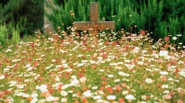 Flowers cross grave