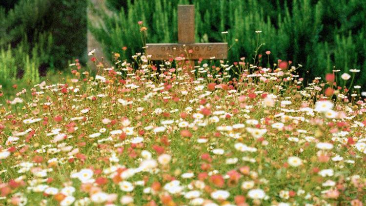 Flowers cross grave