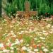 Flowers cross grave