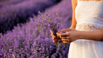 Lavender girl