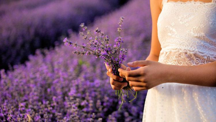 Lavender girl