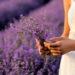 Lavender girl