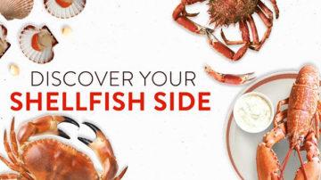 Discover your shellfish side