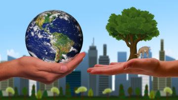 Hand tree earth environment sustainability