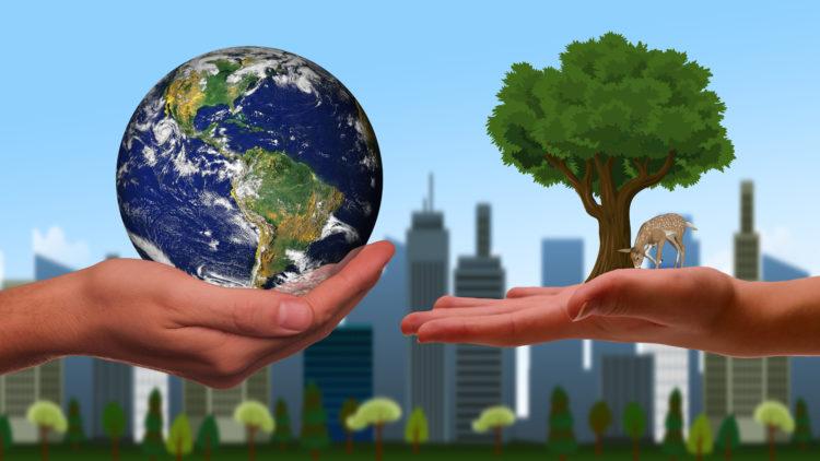 Hand tree earth environment sustainability