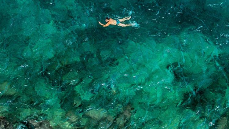 Sea swimmer