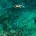 Sea swimmer