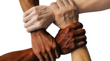Diversity hands