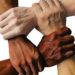 Diversity hands