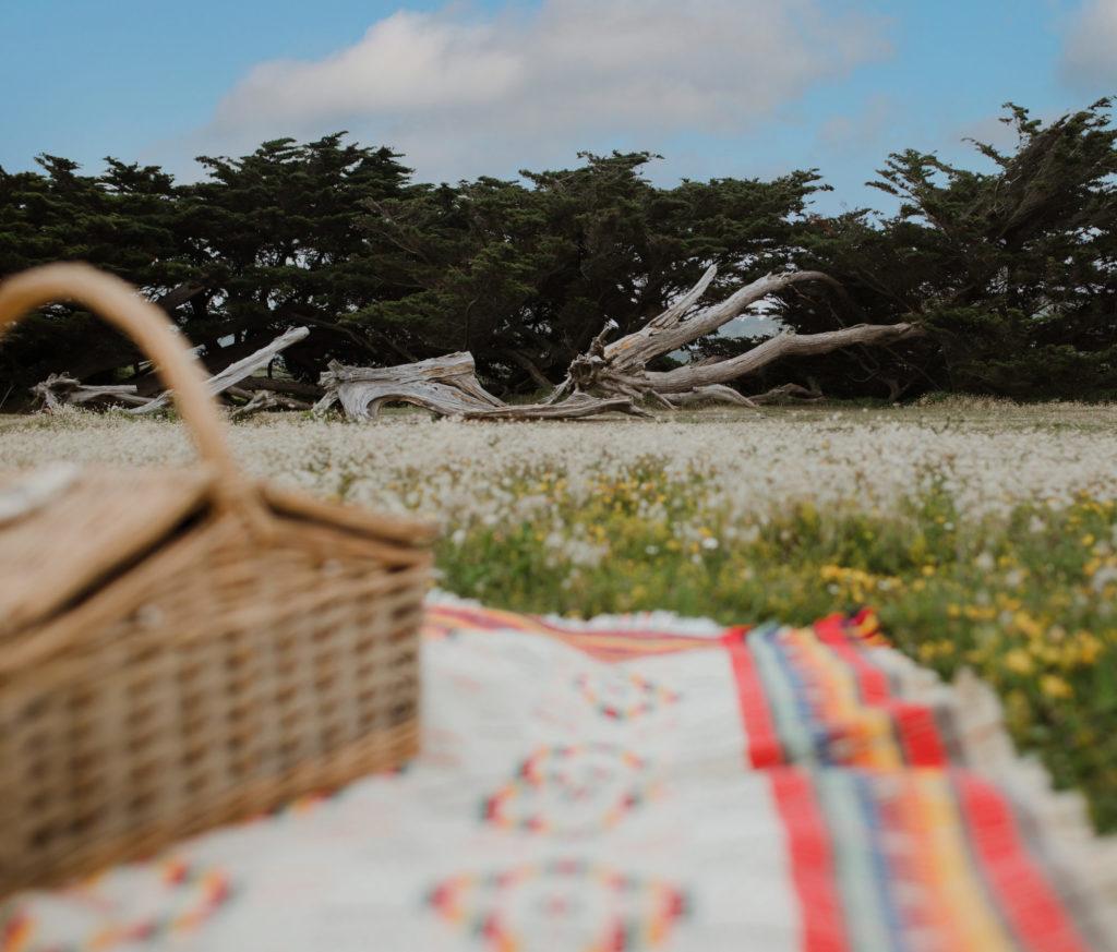 The Jersey National Park is encouraging Islanders to pickupapicnic