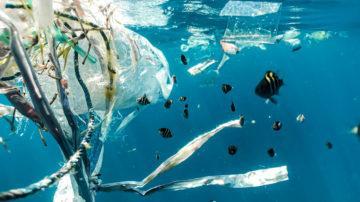 Plastic bags in ocean