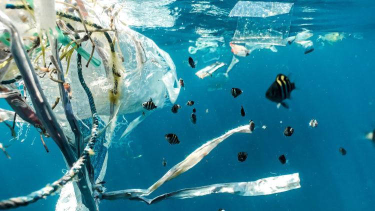 Plastic bags in ocean