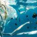 Plastic bags in ocean