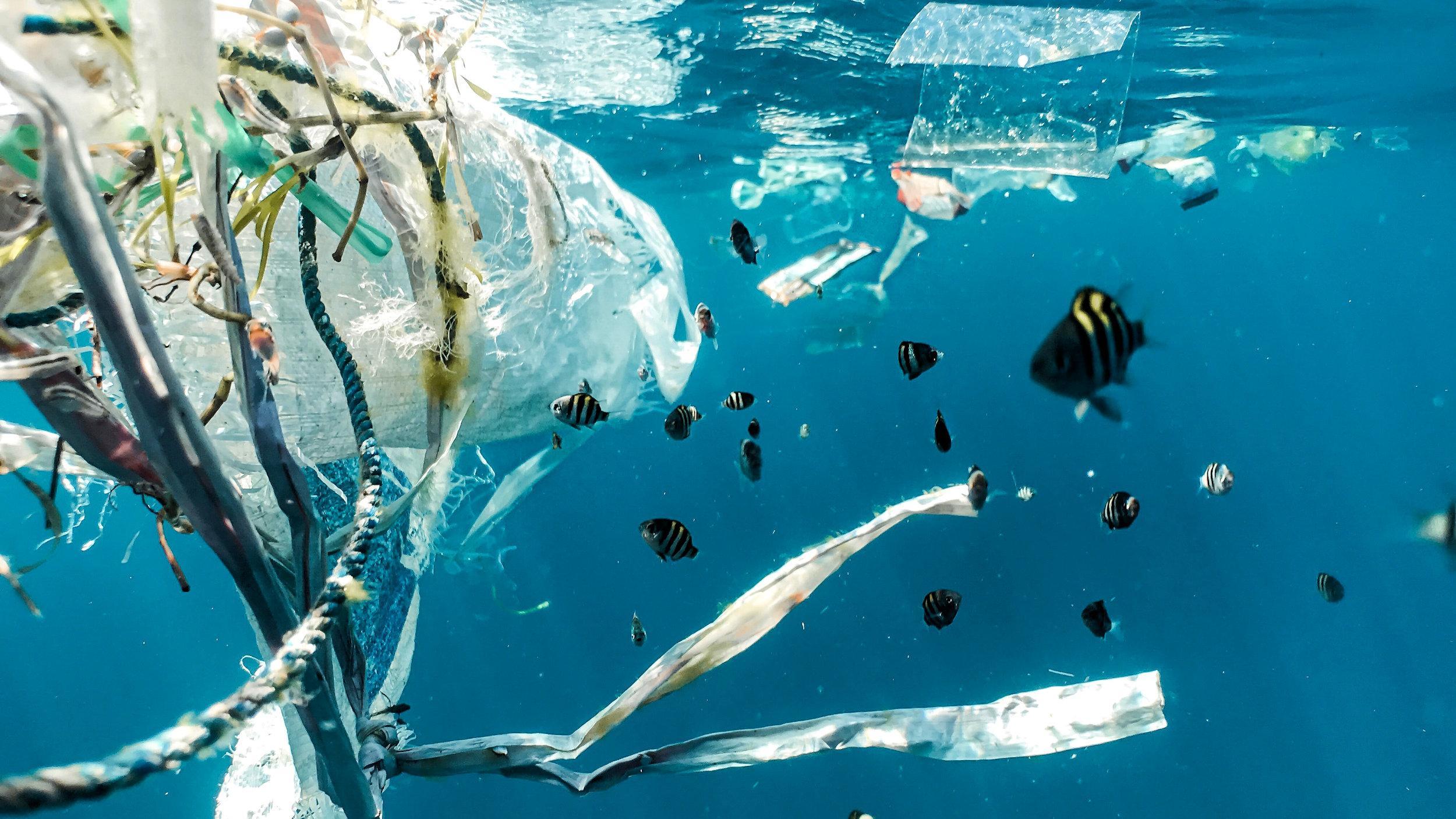 Less than two weeks until Jersey's plastic and paper bag ban comes into