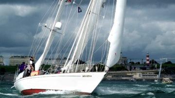 Gipsy Moth IV