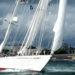 Gipsy Moth IV