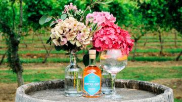 La Mare Rhubarb and honey gin