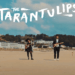 Tarantulips