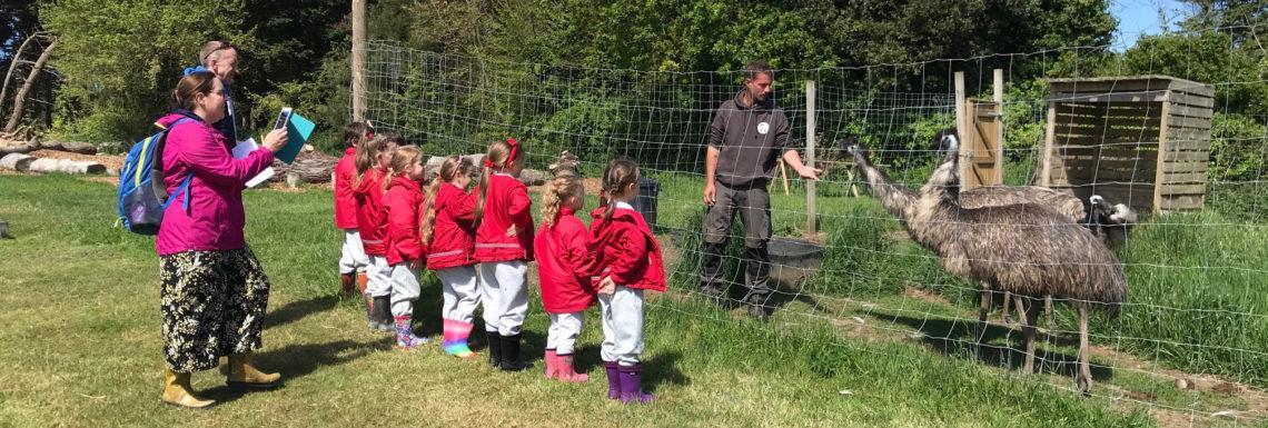 meet-the-charity-the-accidental-zoo-with-charlotte-le-guilcher