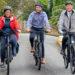 MSG Cycle scheme - Kate Allen, Nathan Collenette and Richard Vowles