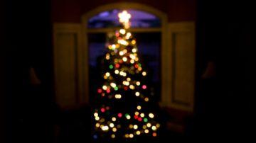 Christmas tree out of focus blurred
