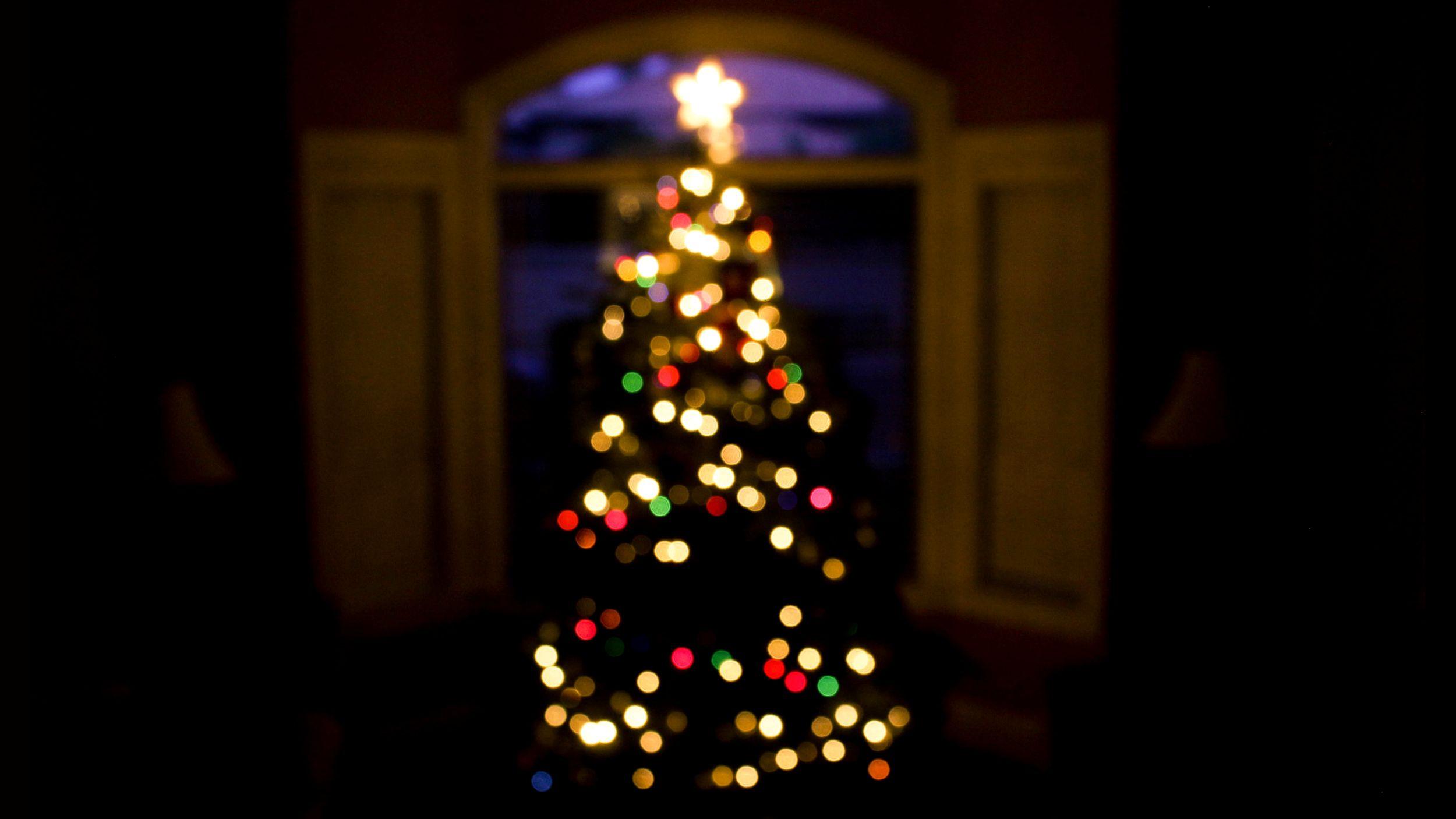 Christmas tree out of focus blurred