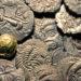 Jersey Celtic coins