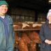Guernsey Milk Michael Bray and Alex Tielles