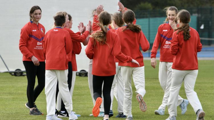Cricket Jersey