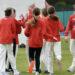 Cricket Jersey