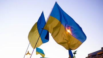 Ukraine flags