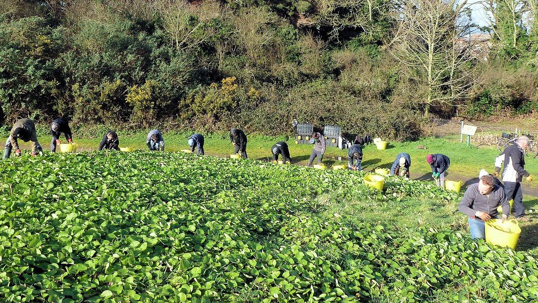 Queens Road Medical Practice finds new way to improve Guernsey’s health