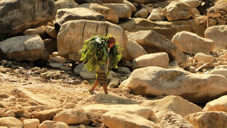 JOA REALiZE Child carrying fodder