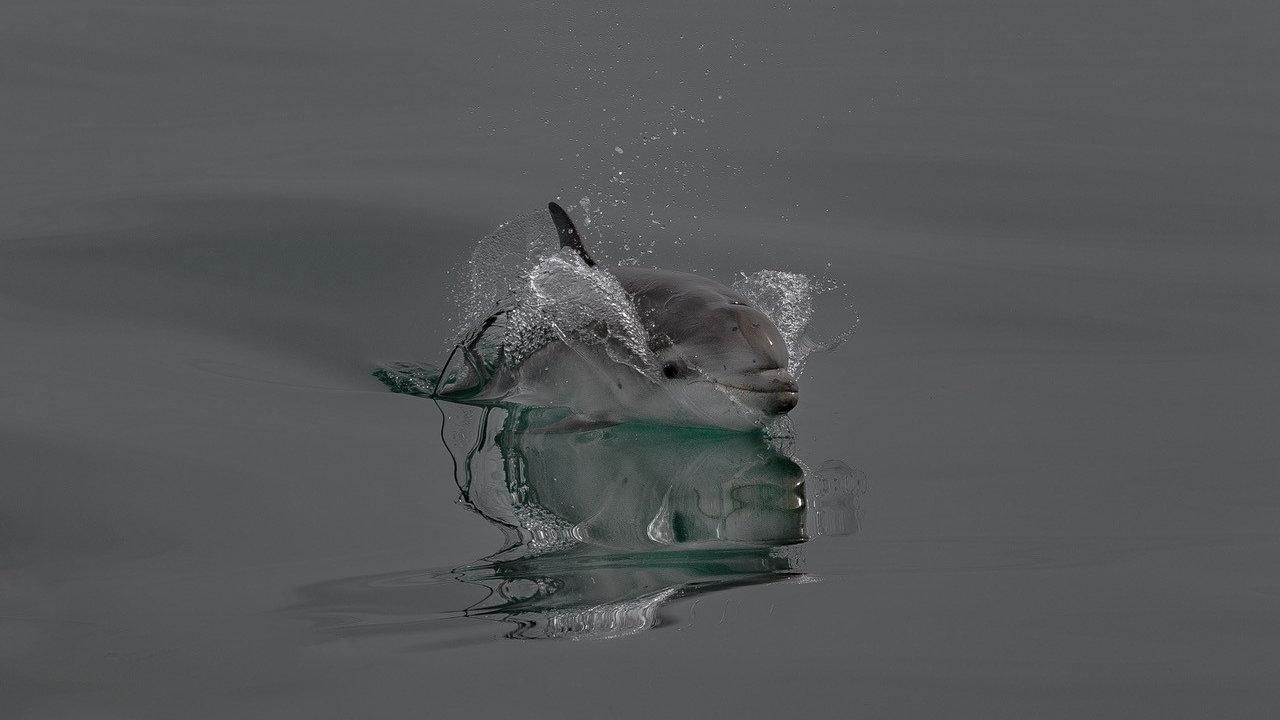 John Ovenden - Ocean images