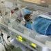 mom premature baby incubator