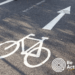 Adult Cycle