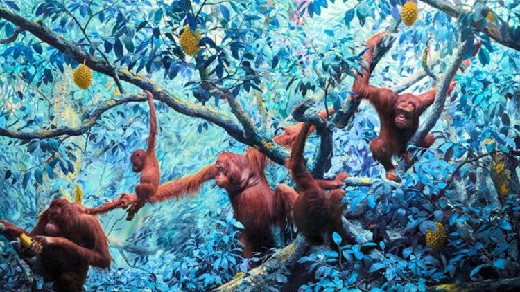 Jim Naughton, Orangutans 2021