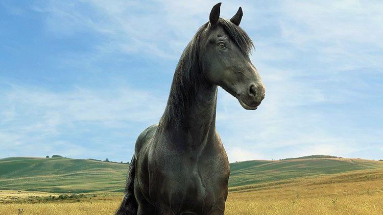 Lloyds Bank horse