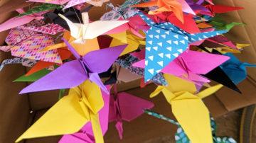 Jersey Recovery College celebrates five years with inspirational art