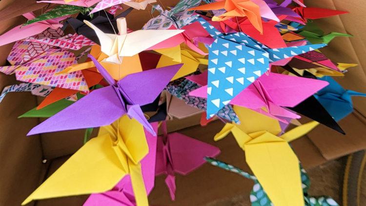 Jersey Recovery College celebrates five years with inspirational art
