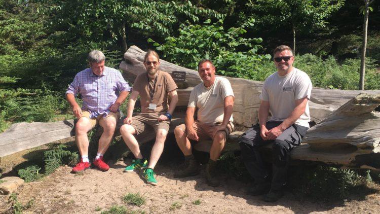 Foundations Back to work scheme