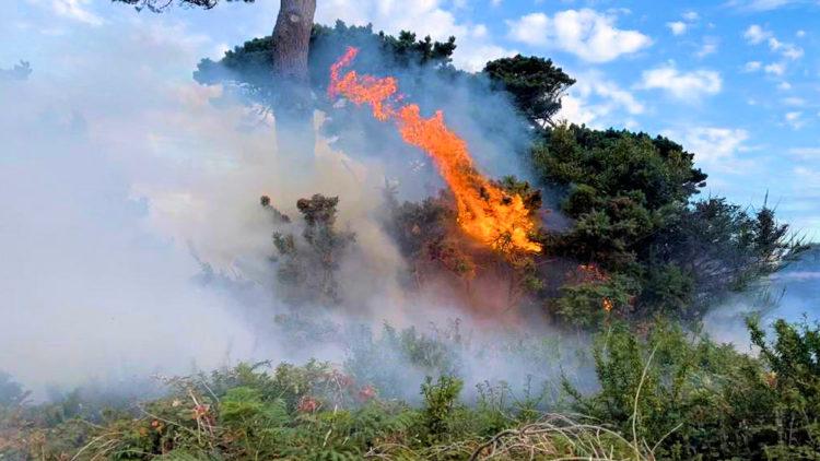 Guernsey Bon Port fire