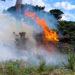 Guernsey Bon Port fire