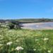 Alderney biodiversity