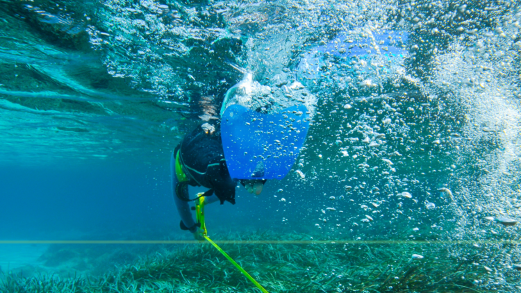 Applied Science and Environment Fund- JICAS