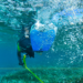 Applied Science and Environment Fund- JICAS