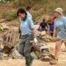 Jersey Overseas Aid