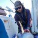 Bluefin tuna tagged for research
