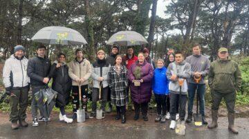 Keeping Le Guet green with Guernsey Trees for Life