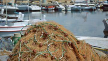 New rules to protect commercial fishermen from unlicenced competition